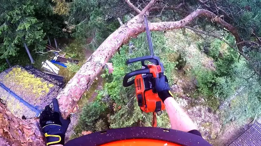 How To Cut Tree Branches That Are Too High To Reach - 7 Effective Ways by iSaw Guide