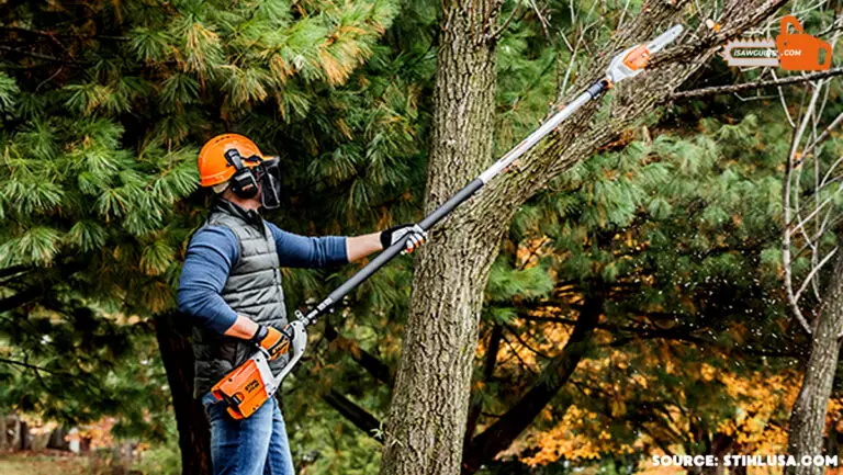 Best Tools For Cutting Tree Branches For Professional